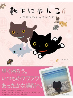 cover image of 靴下にゃんこ６　いちばん近くのドコカデ